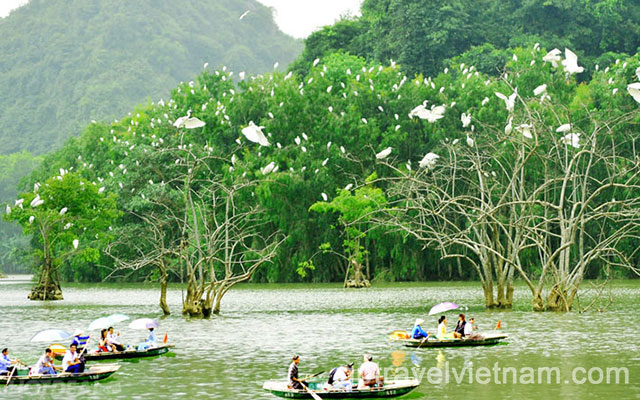 VECN03: Thung Nham Bird Watching & Ninh Binh – 2 days