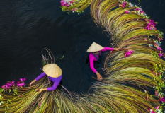 Top 10 Best 4-Star Hotels In Saigon, Vietnam
