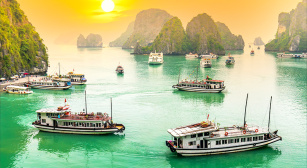 Professional Tour Guide