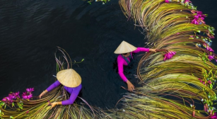 Top 10 Best 4-Star Hotels In Saigon, Vietnam