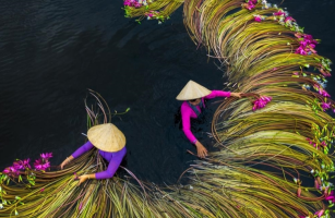 Top 10 Best 4-Star Hotels In Saigon, Vietnam