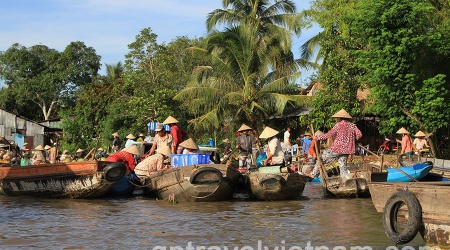 Can Tho: Floating Market and Biking Tour in Phong Dien