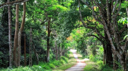 Discover Cuc Phuong National Park