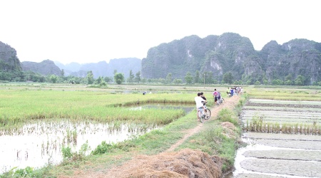 Mua Cave, Bird Valley, and a serene sampan excursion at Linh Coc.