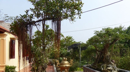 A Day in the Countryside of Nam Dinh