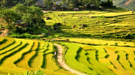 3 jours de randonnée: Don - Kho Muong - Lac - Hieu
