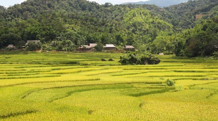 2 jours de randonnée facile à Pu Luong 