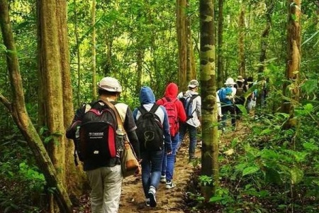 Randonnée au parc national de Nam Cat Tien – 3 jours