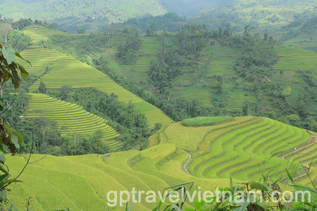 Trekking into the uncharted: Discovering Hoang Su Phi