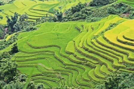 3 days trek in Bac Ha