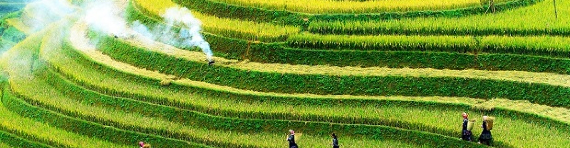 Mu Cang Chai