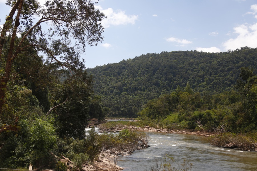 Chaîne des Cardamomes, Flores et Faunes et temples Khmers