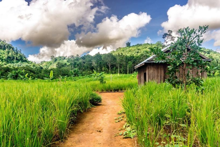 Temples khmers et les terres reculées de Mondolkiri et Ratanakiri 