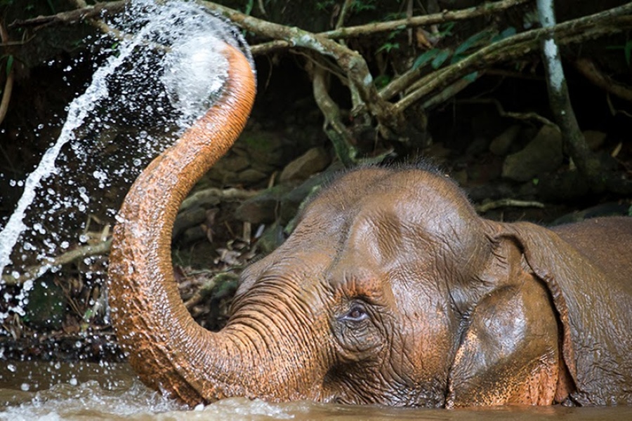 Temples khmers et les terres reculées de Mondolkiri et Ratanakiri 