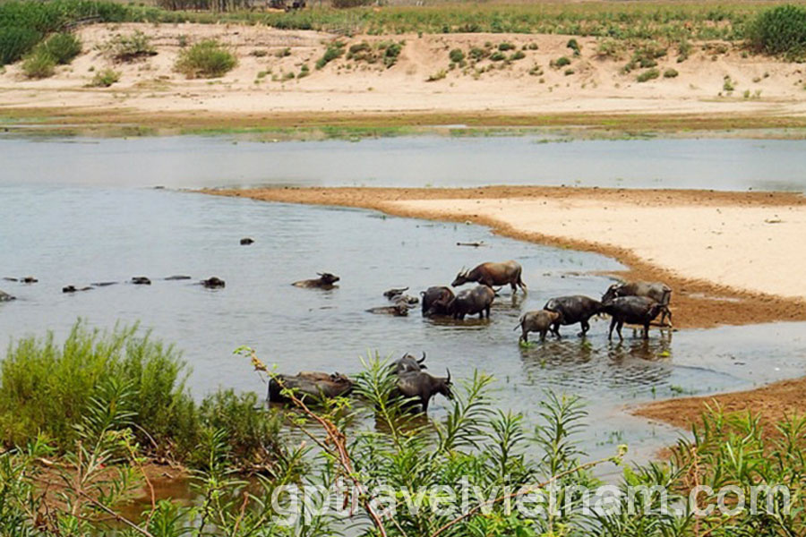 All of Laos – 10 days