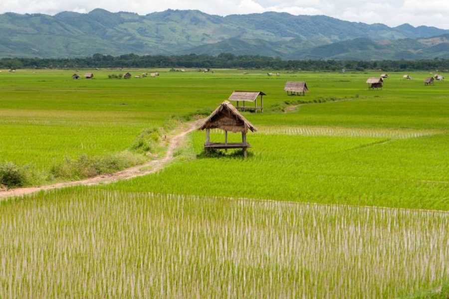 Luang Prabang et Le Nord du Laos – 12 jours