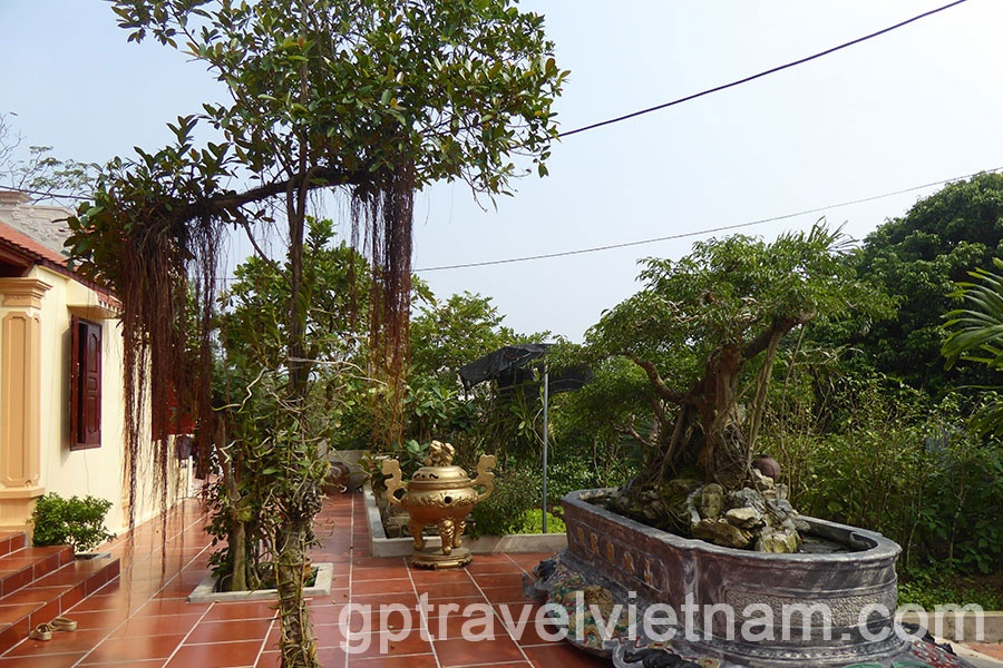  A Day Exploring Xuan Thuy National Park and Bach Long Salt Fields