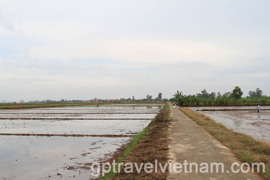  A Day Exploring Xuan Thuy National Park and Bach Long Salt Fields
