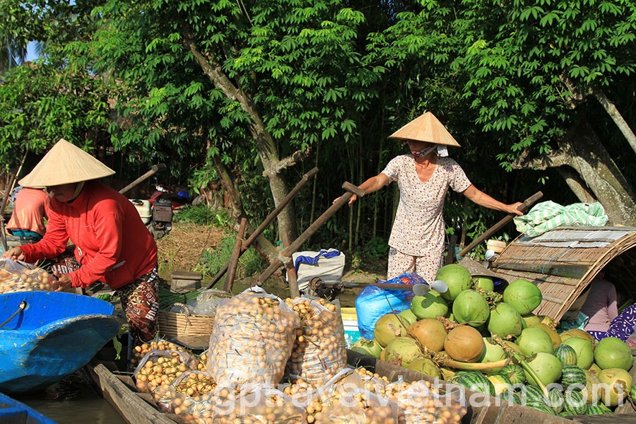 Can Tho: Floating Market and Biking Tour in Phong Dien