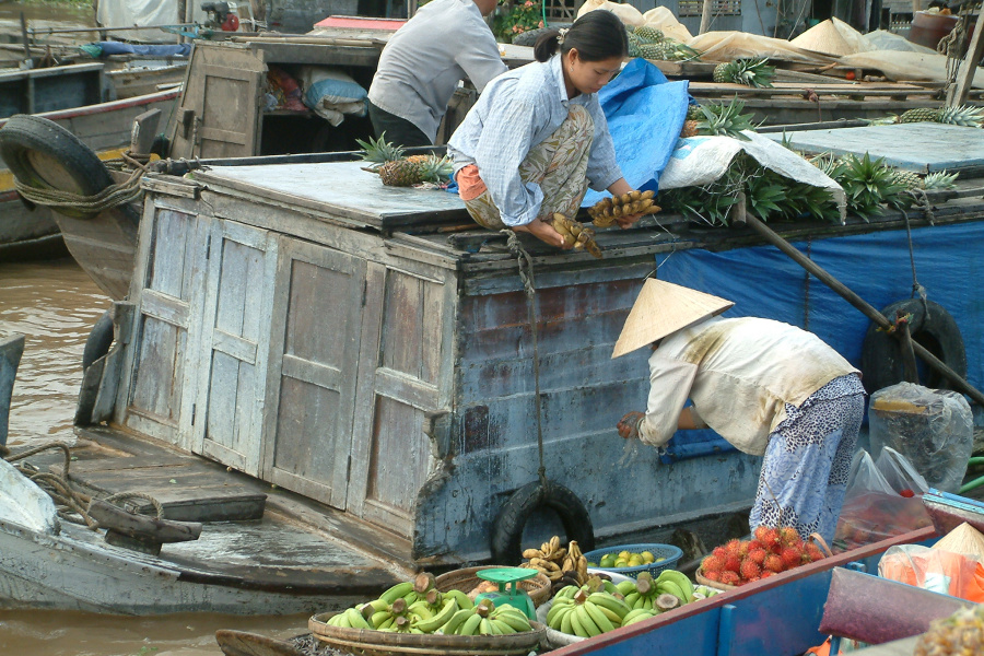 Cycling Tour in the Mekong Delta for 4 Days
