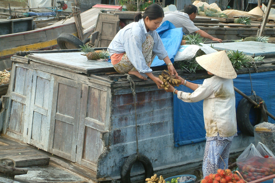Cycling Tour in the Mekong Delta for 4 Days