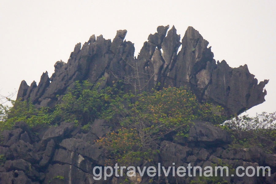 Baie d’Halong Terrestre: Hoa Lu, Trang An et Hang Mua