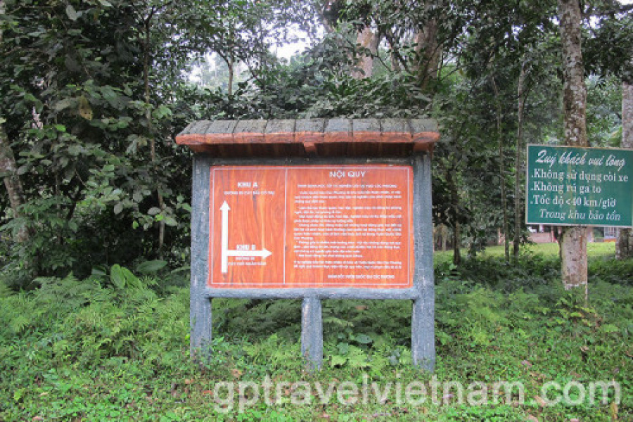 Discover Cuc Phuong National Park