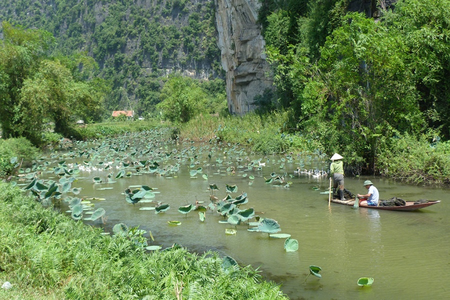 Hoa Lu et la belle région karstique de Tam Coc 