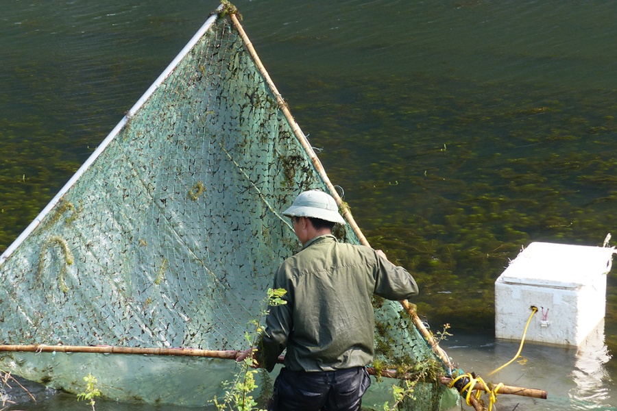 Hoa Lu et la belle région karstique de Tam Coc 