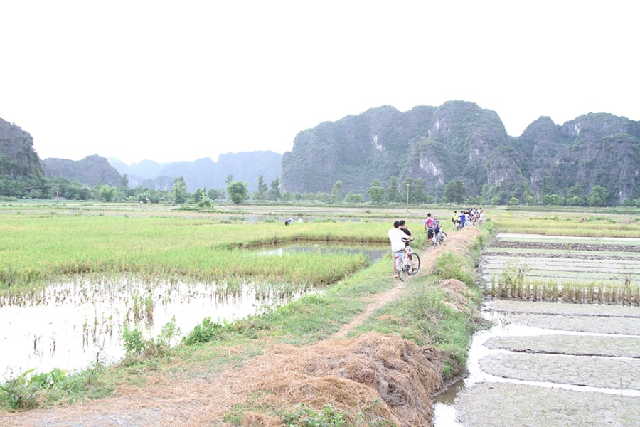 Journée à vélo à Tam Coc: Hang Mua, Vallée des oiseaux et excursion en sampan à Linh Coc