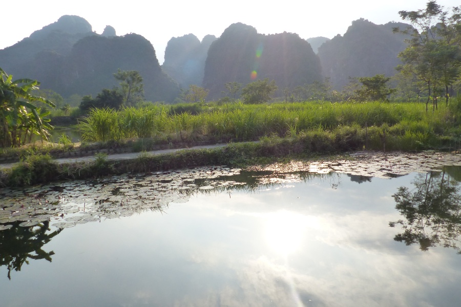 Mua Cave, Bird Valley, and a serene sampan excursion at Linh Coc.