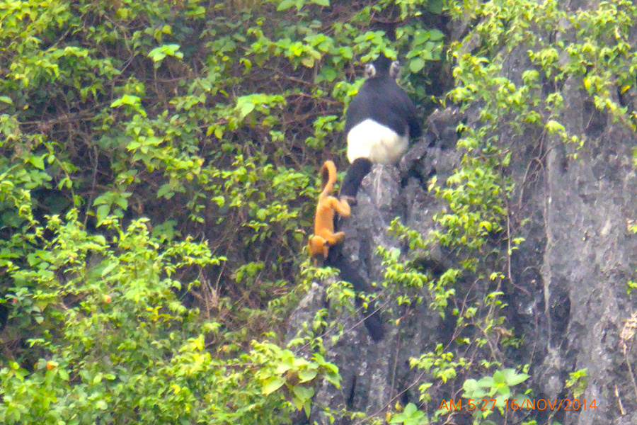 Van Long Natural Reserve and its Authentic Countryside