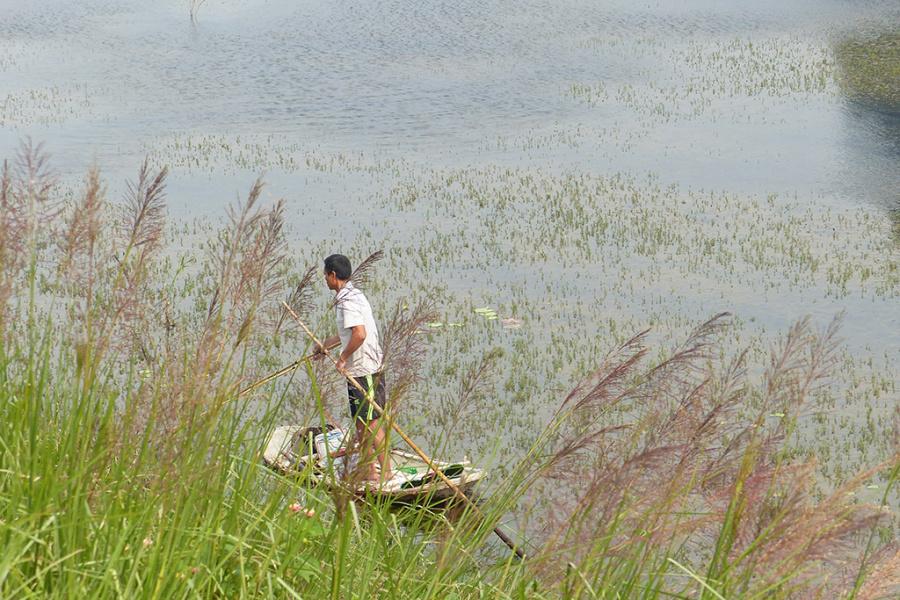 Van Long Natural Reserve and its Authentic Countryside