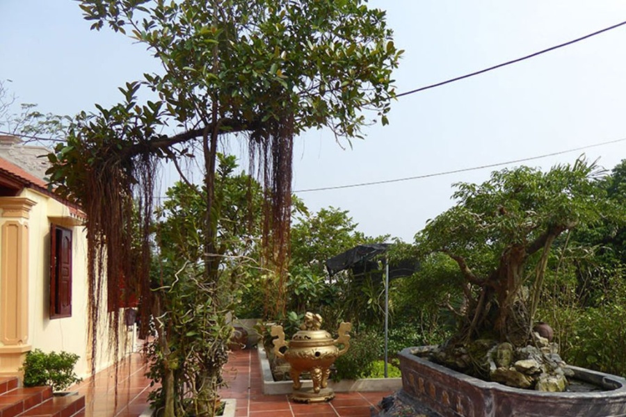 Journée à la campagne de Nam Dinh