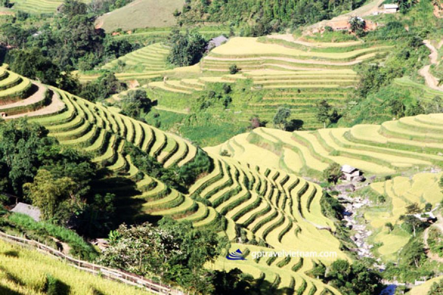 Trekking into the uncharted: Discovering Hoang Su Phi