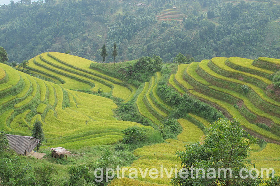 Trekking into the uncharted: Discovering Hoang Su Phi