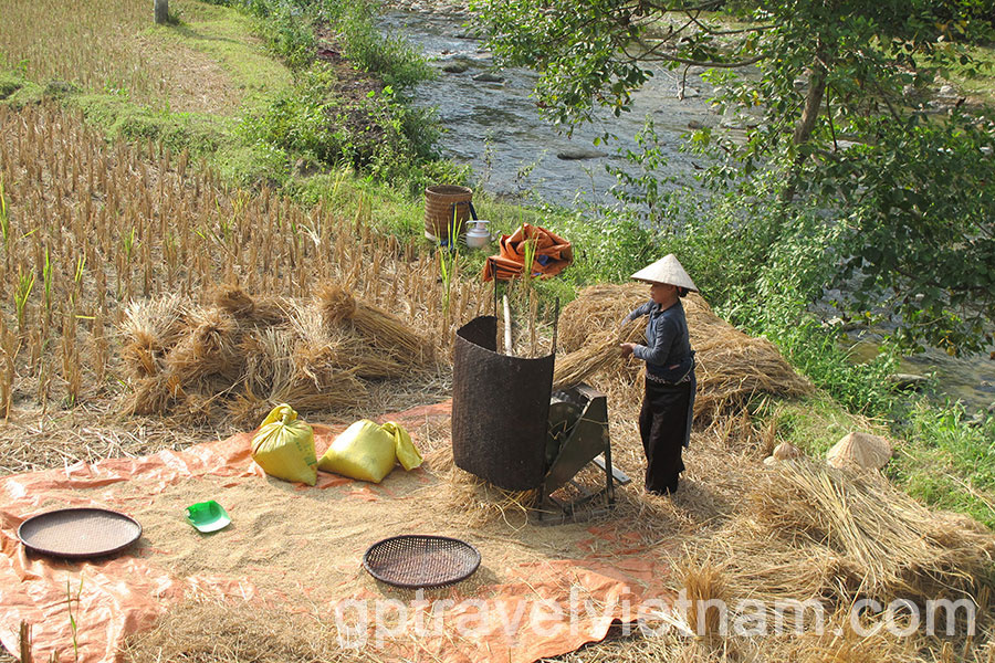 Trekking into the uncharted: Discovering Hoang Su Phi