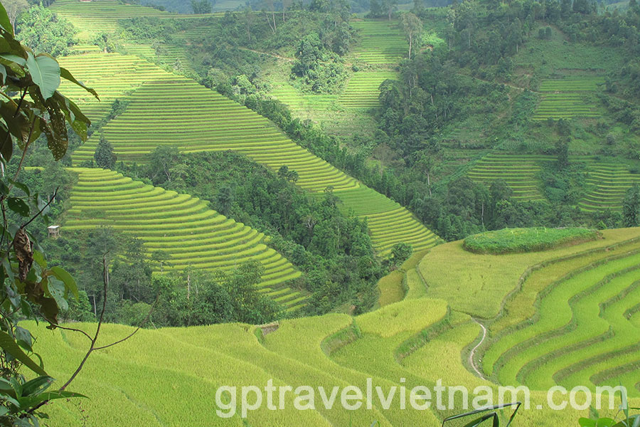 Trekking into the uncharted: Discovering Hoang Su Phi