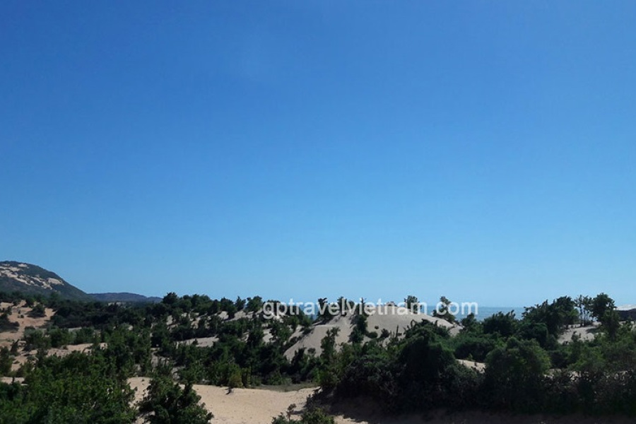 Hochiminh City, Mekong, Dalat & Mui Ne – 8 days