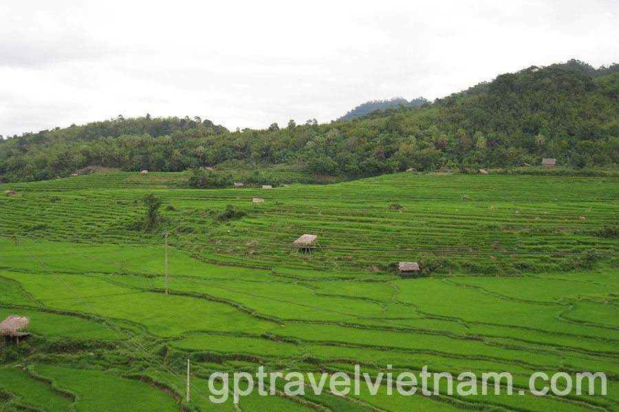 Les Régions Nord du Vietnam & Tout le Laos 