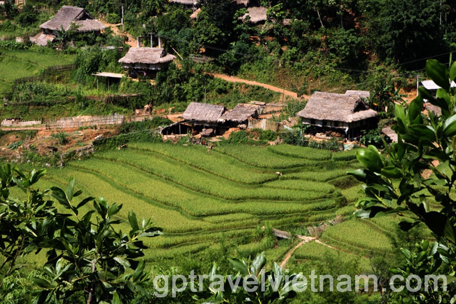 De la Baie de Lan Ha aux Pays des ethnies Muong, Thais blanc - 6 jours