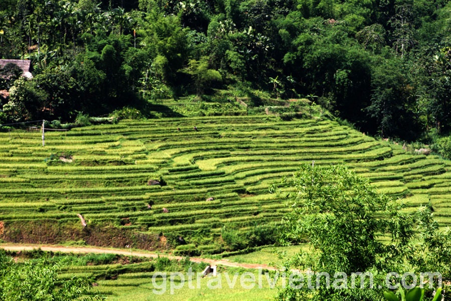 De la Baie de Lan Ha aux Pays des ethnies Muong, Thais blanc - 6 jours