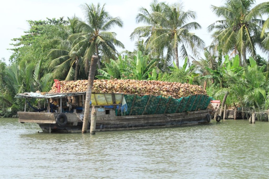 Voyage en famille de deux semaines au Vietnam