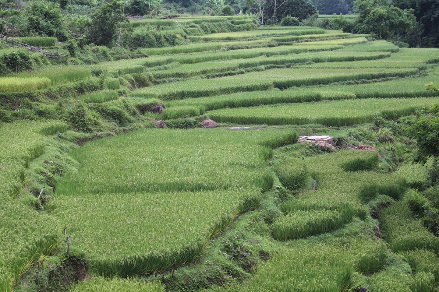 From Vietnam to Laos – 16 days