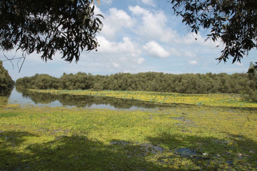 Cai Be – Can Tho – Chau Doc - Tam Nong - Saigon