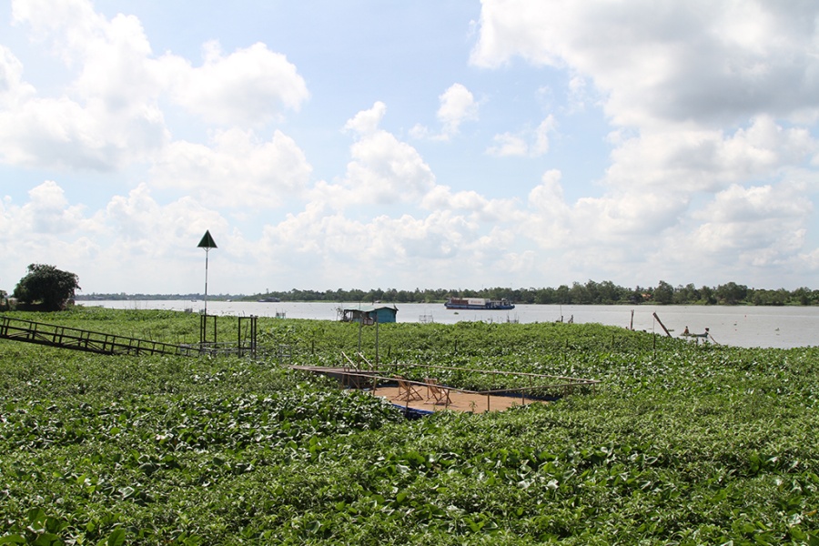 Cai Be – Can Tho – Chau Doc - Tam Nong - Saigon