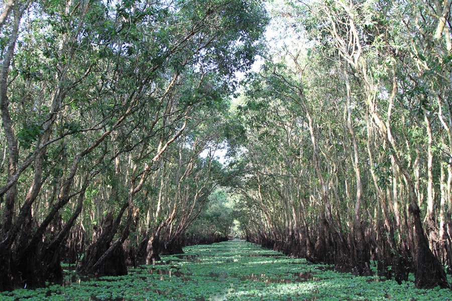 Cai Be – Can Tho – Chau Doc - Tam Nong - Saigon