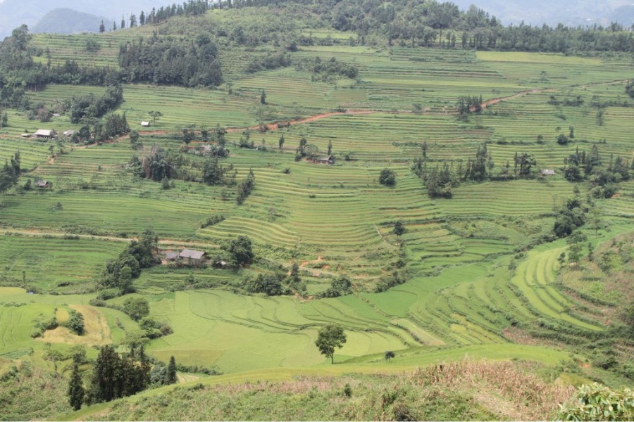 3 days trek in Bac Ha