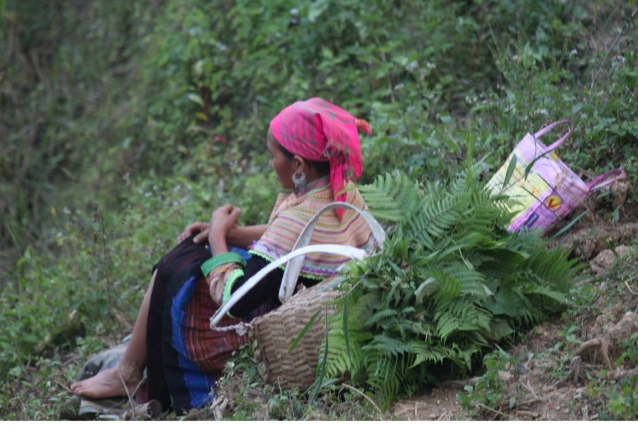 3 days trek in Bac Ha