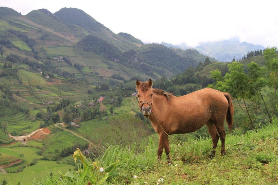 3 days trek in Bac Ha